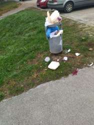Photo of this report
